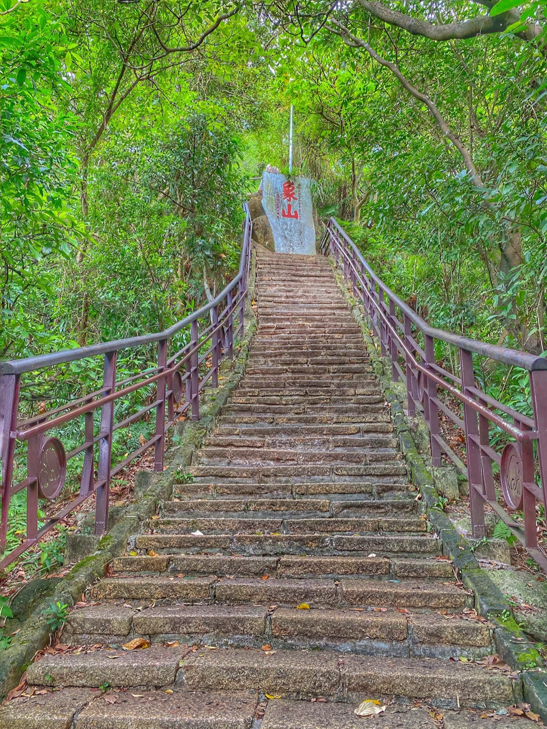 Elephant Mountain photo 2