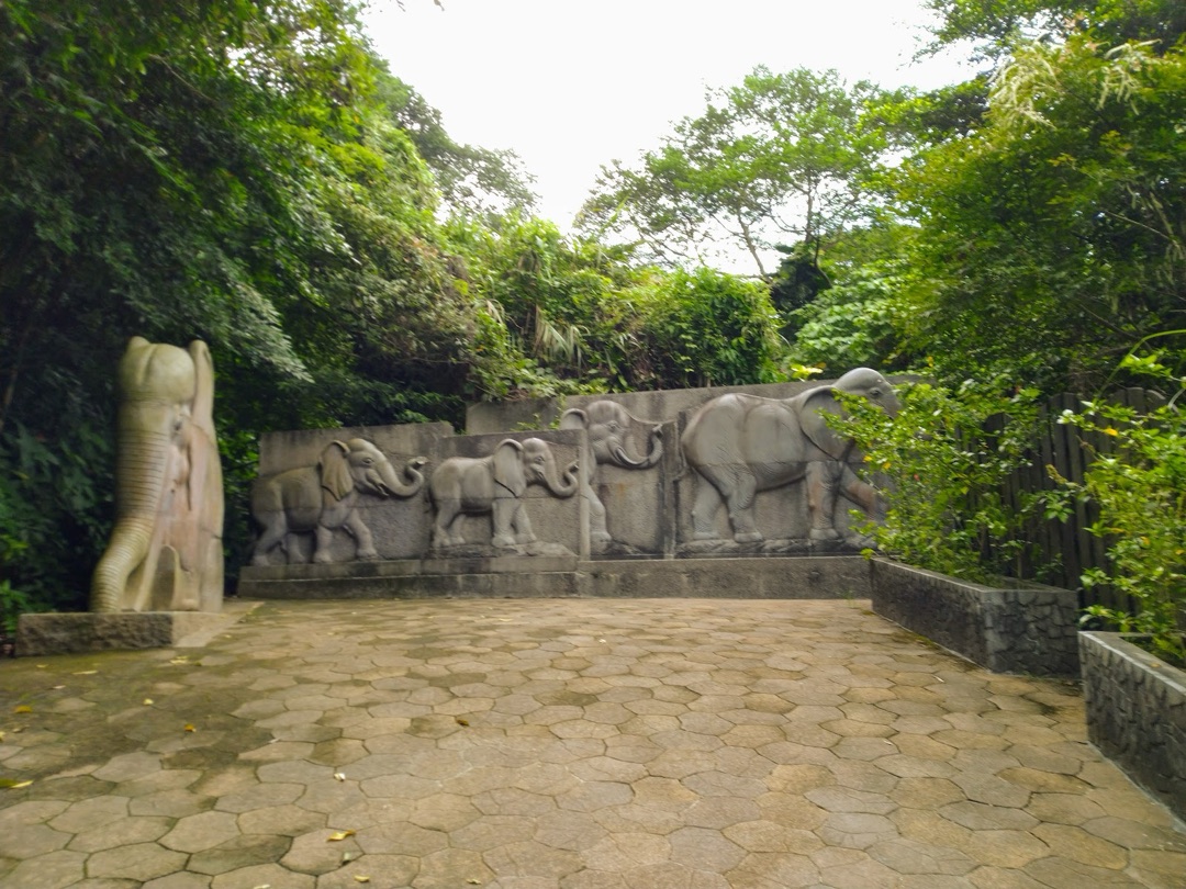 Elephant Mountain photo 3