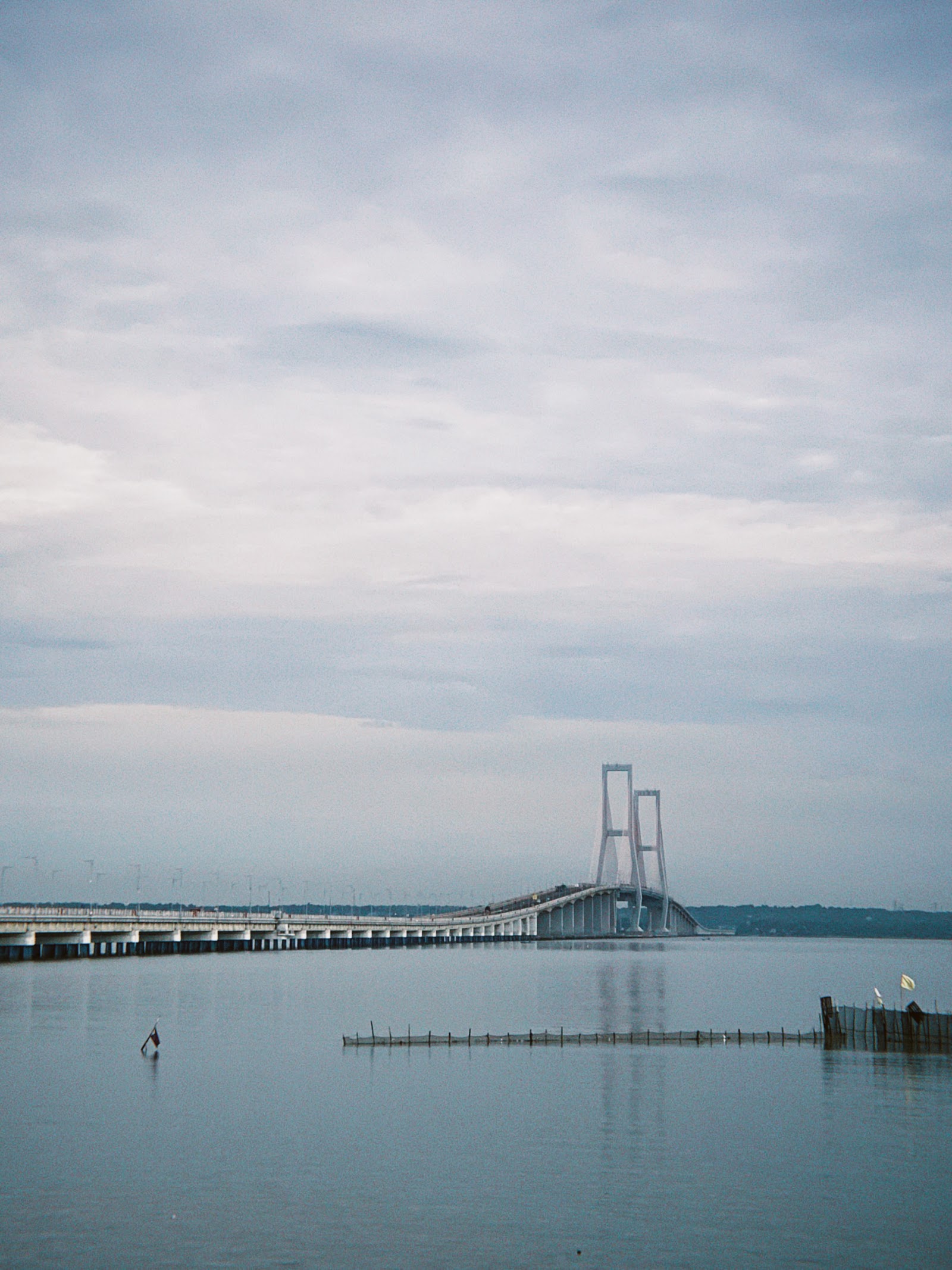 Suramadu National Bridge photo 3