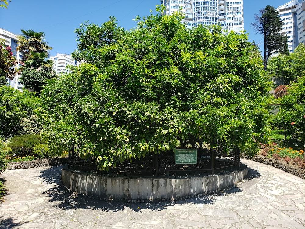 Friendship Tree Garden (Tree of Friendship)