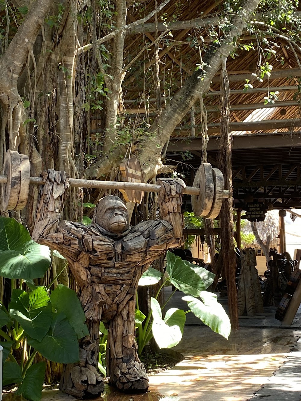 Tulum Jungle Gym photo 3
