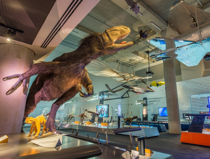 Frost Science Museum photo 2