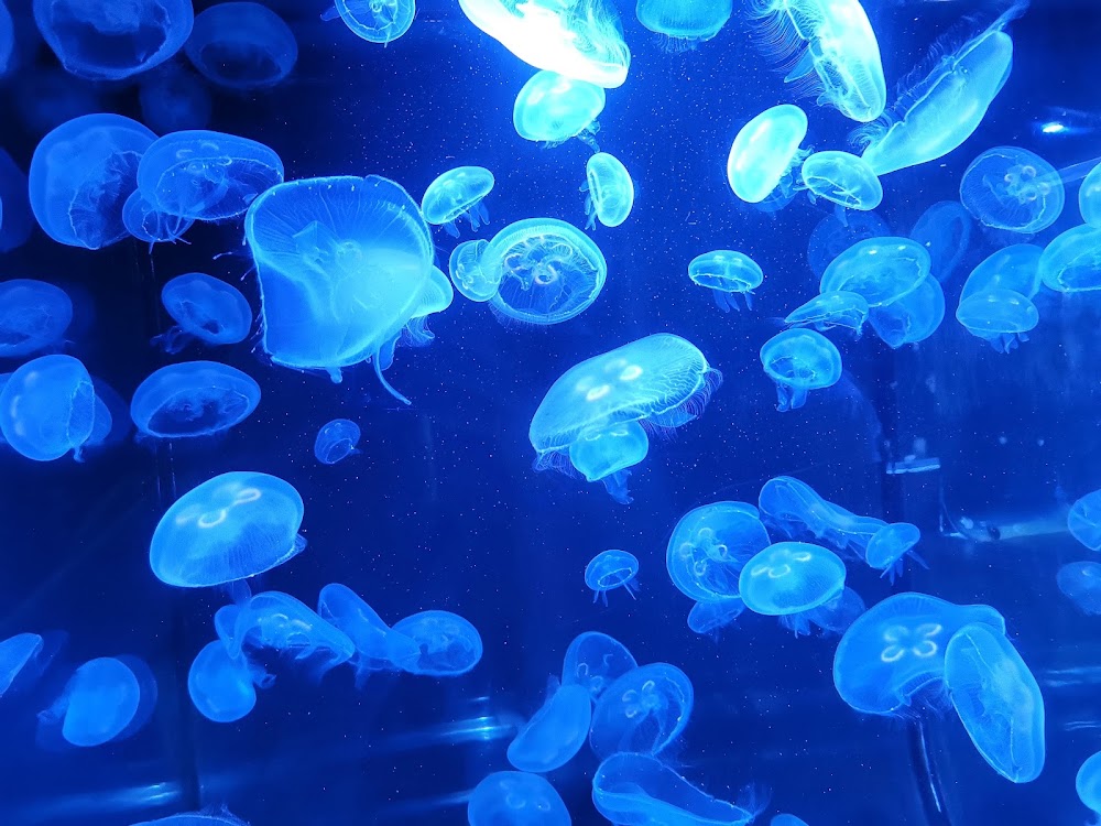 Frost Science Museum photo 3
