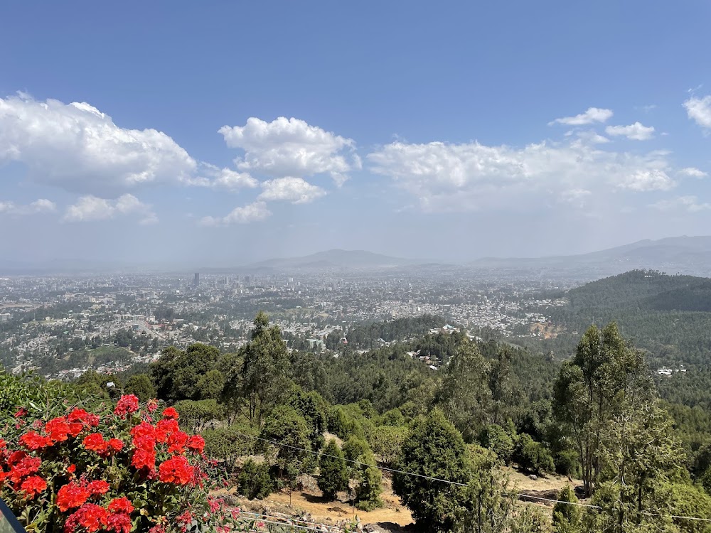Entoto Hill photo 2