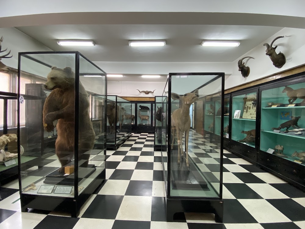 National Museum of Natural History photo 2