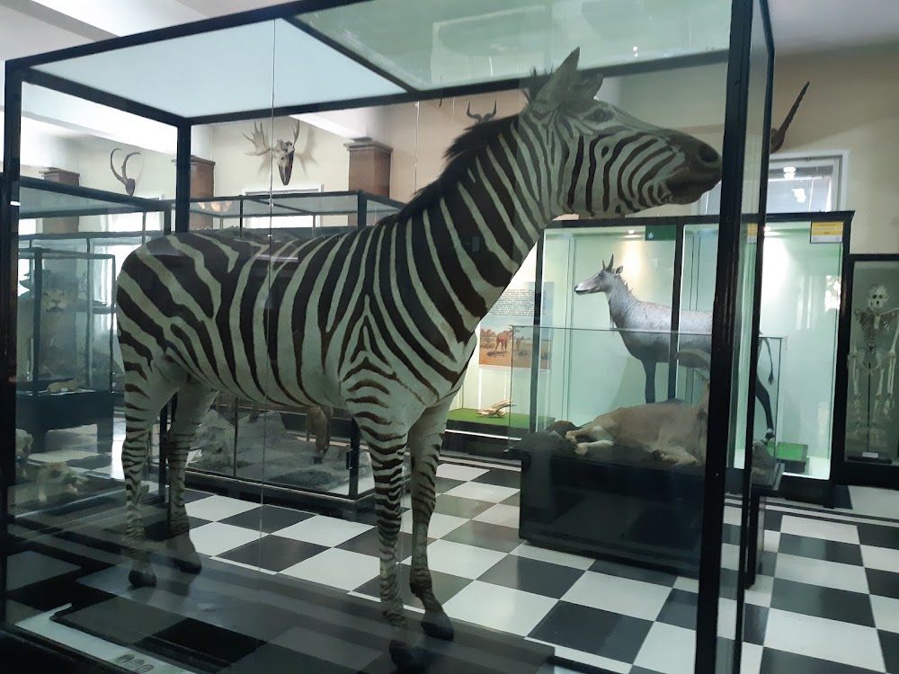 National Museum of Natural History photo 3