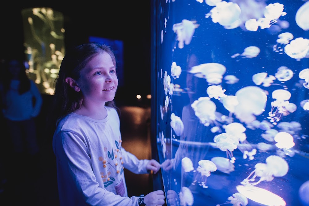 Aquarium du Quebec