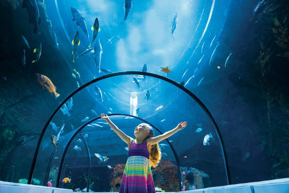 Aquarium du Quebec photo 2