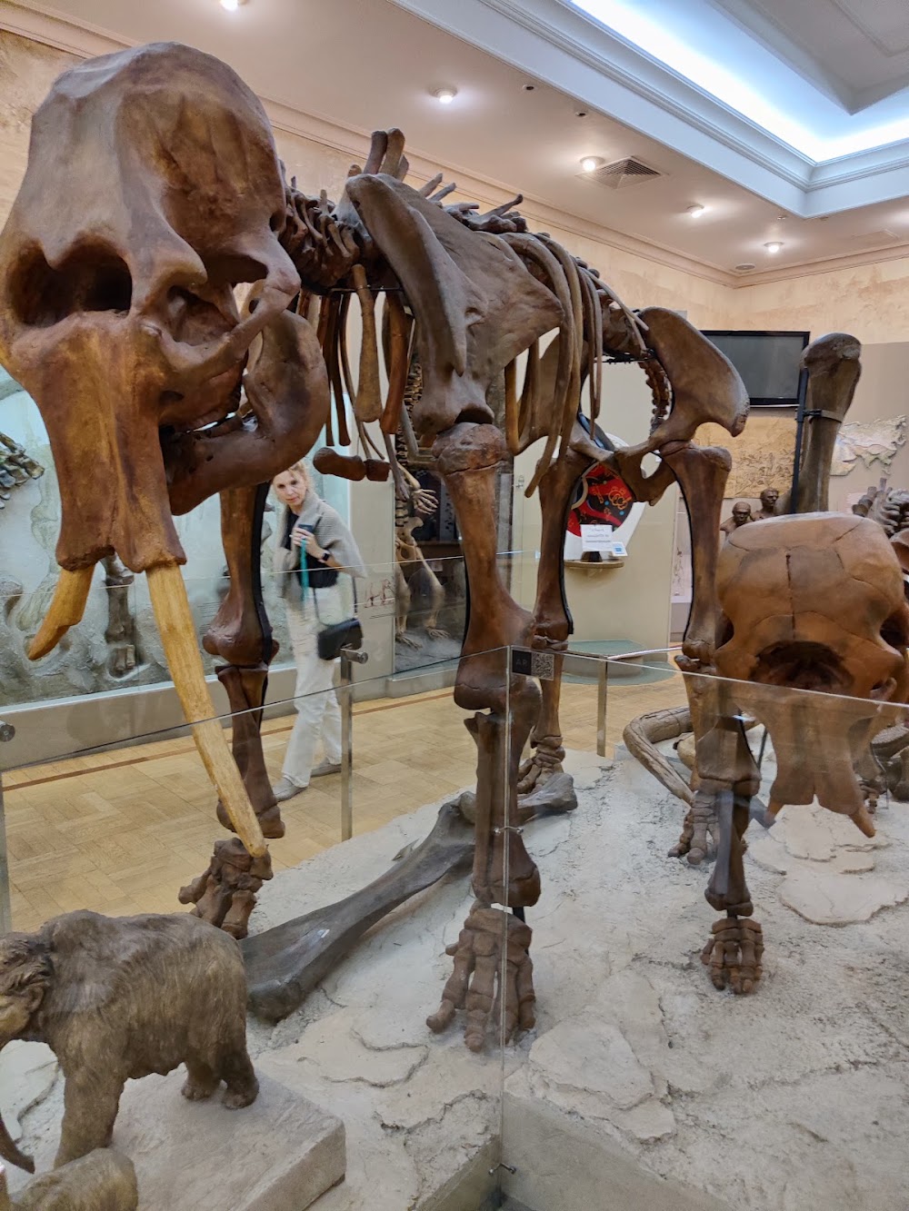 Museum of Natural History