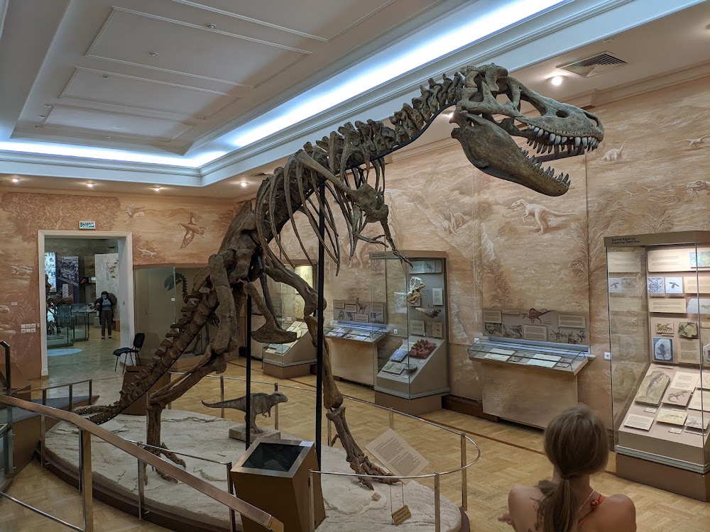 Museum of Natural History photo 2