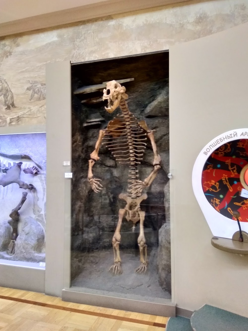 Museum of Natural History photo 3