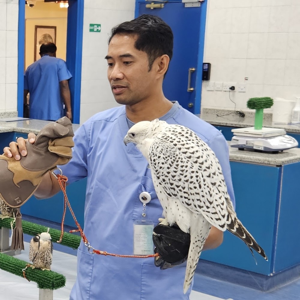 Abu Dhabi Falcon Hospital photo 3