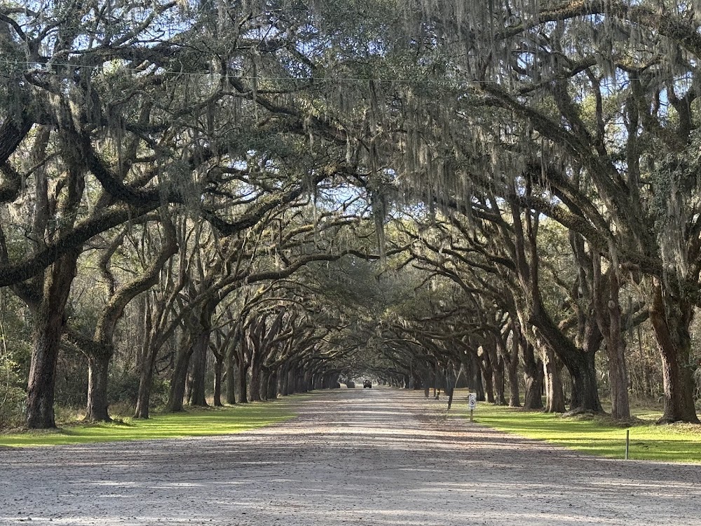 Wormsloe Historic Site photo 3