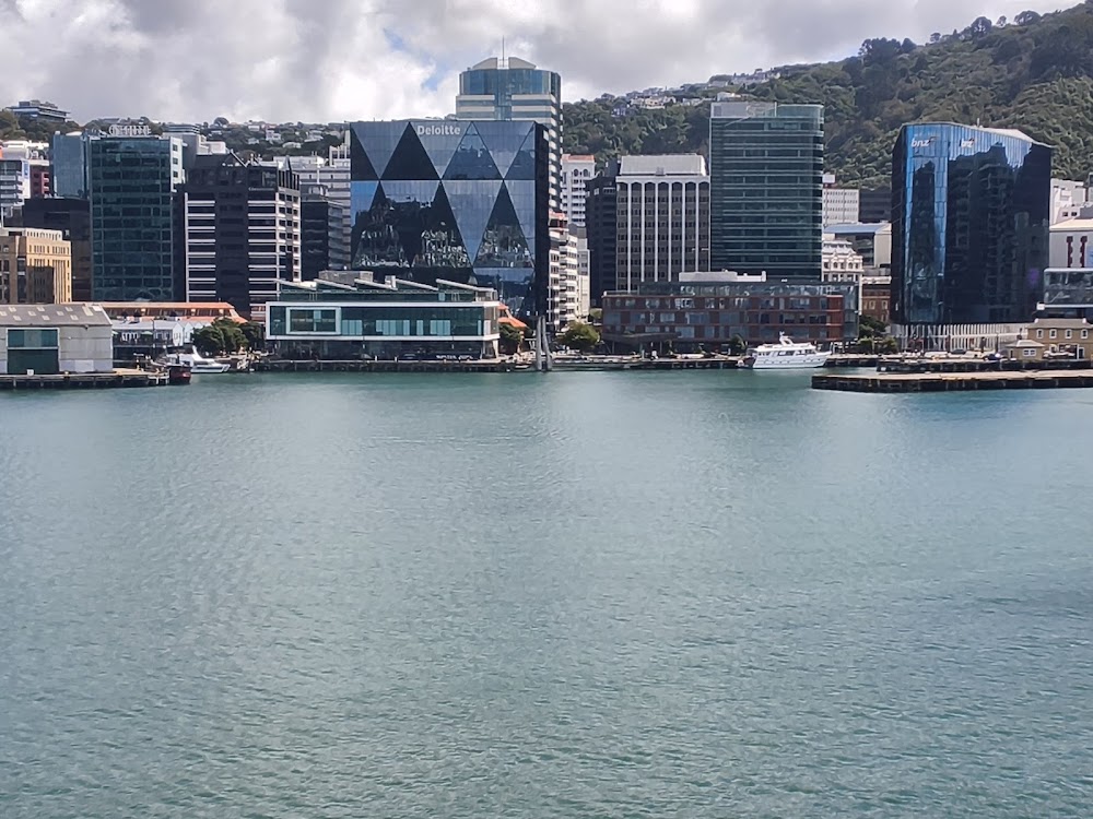 Wellington Harbour