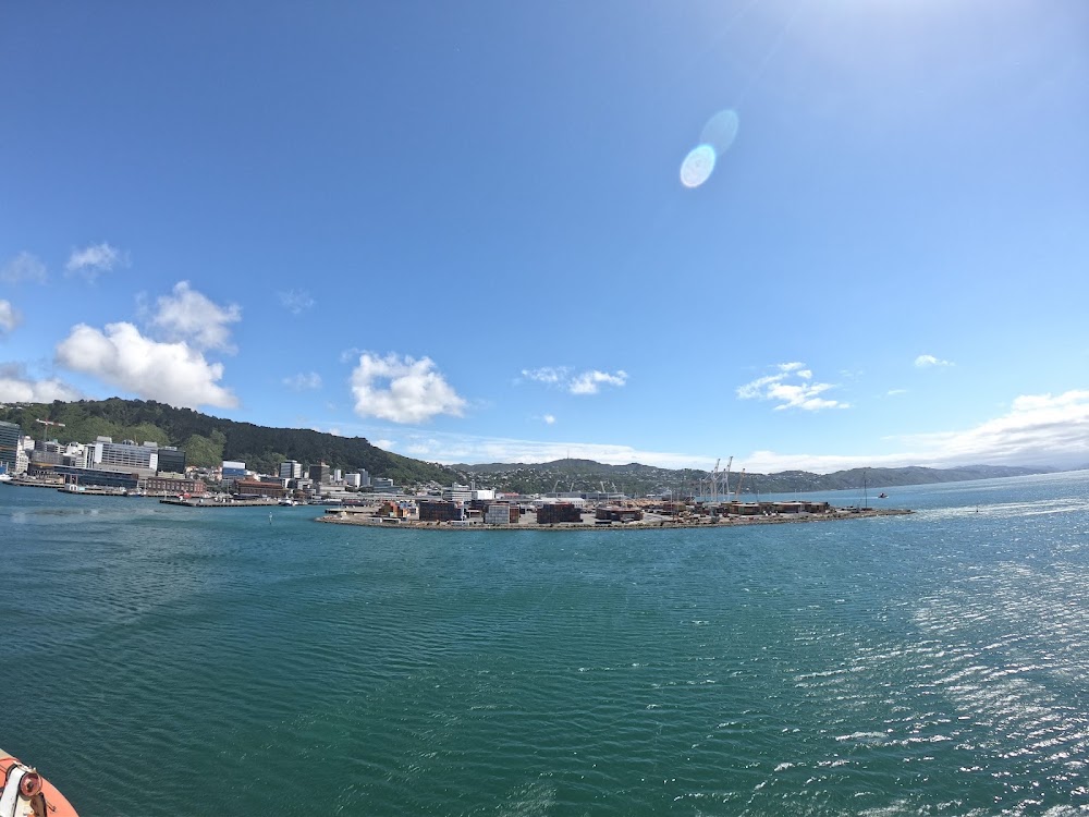 Wellington Harbour photo 3