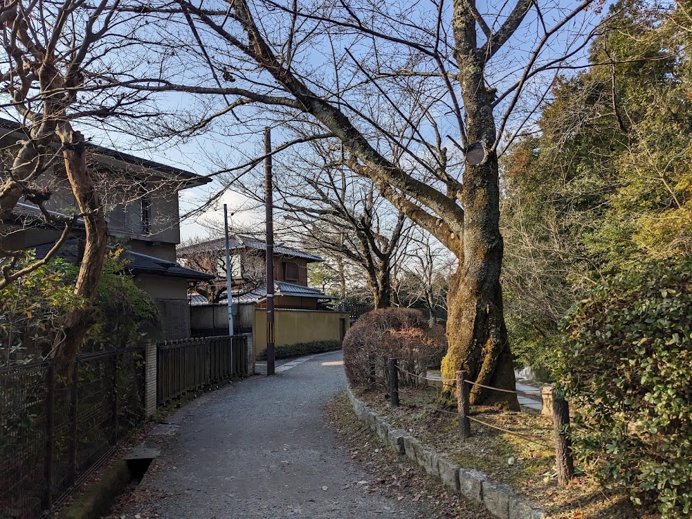 Philosopher's Path photo 3