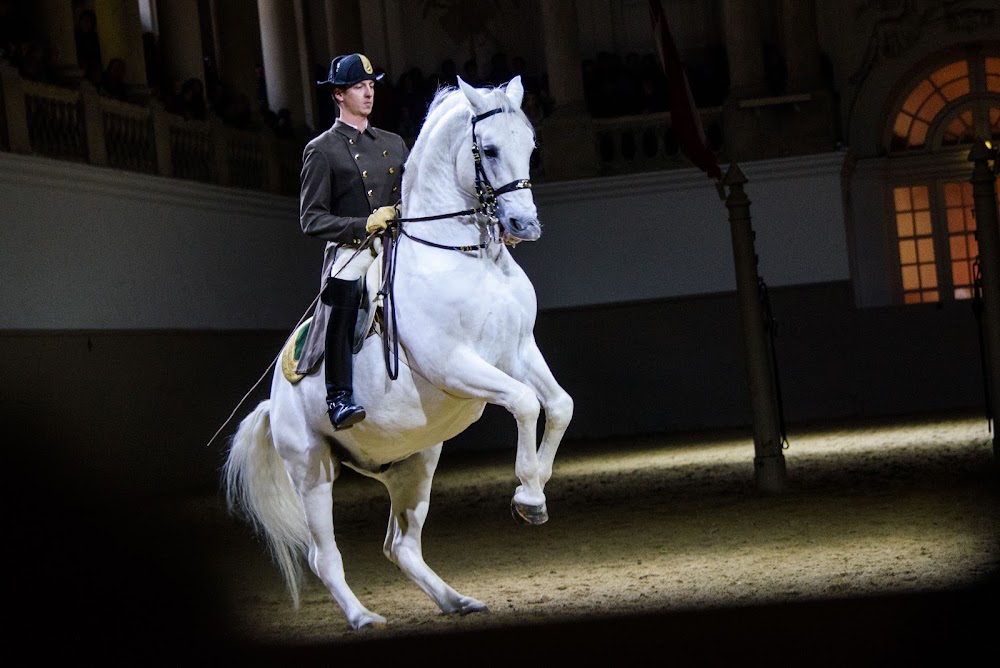 Spanish Riding School photo 2