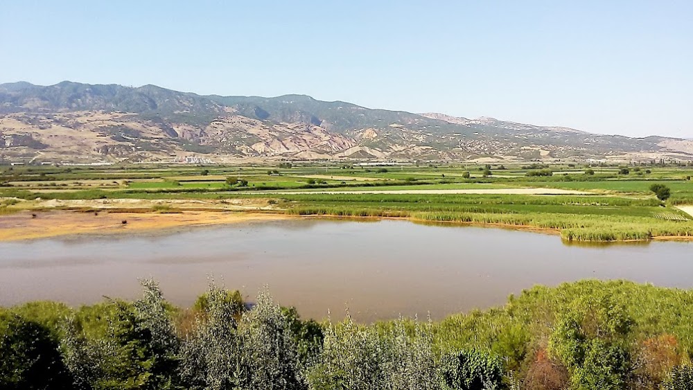 Saraykoy Hot Springs photo 3