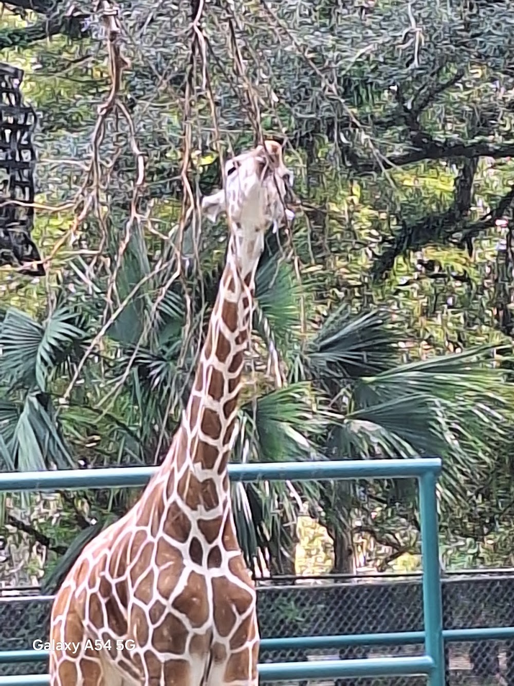 Audubon Park photo 3