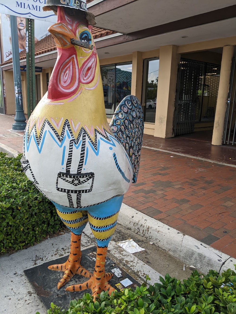 Little Havana photo 3