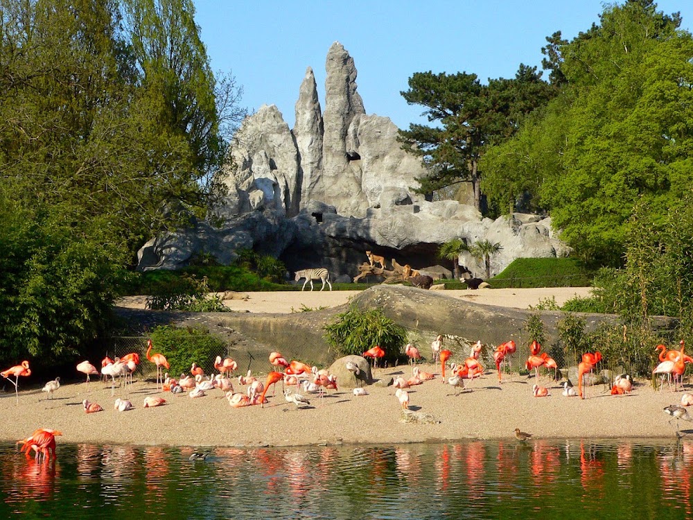 Tierpark Hagenbeck (Hagenbeck Zoo)