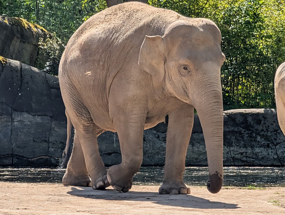 Tierpark Hagenbeck (Hagenbeck Zoo) photo 2