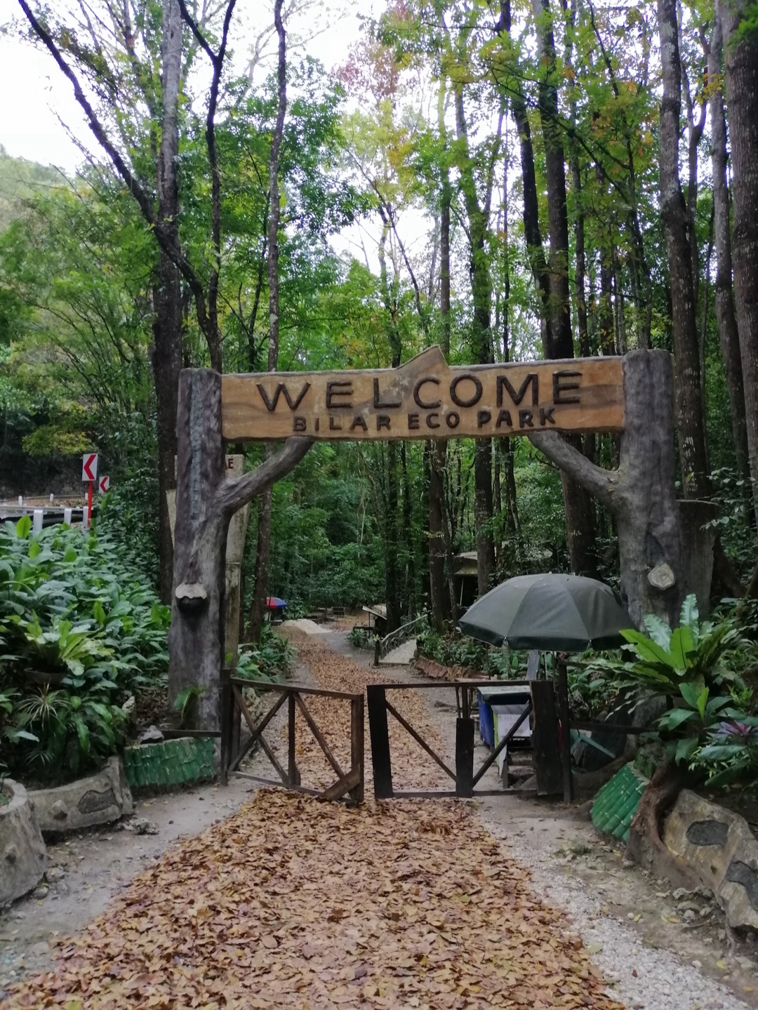 Man-Made Forest photo 2