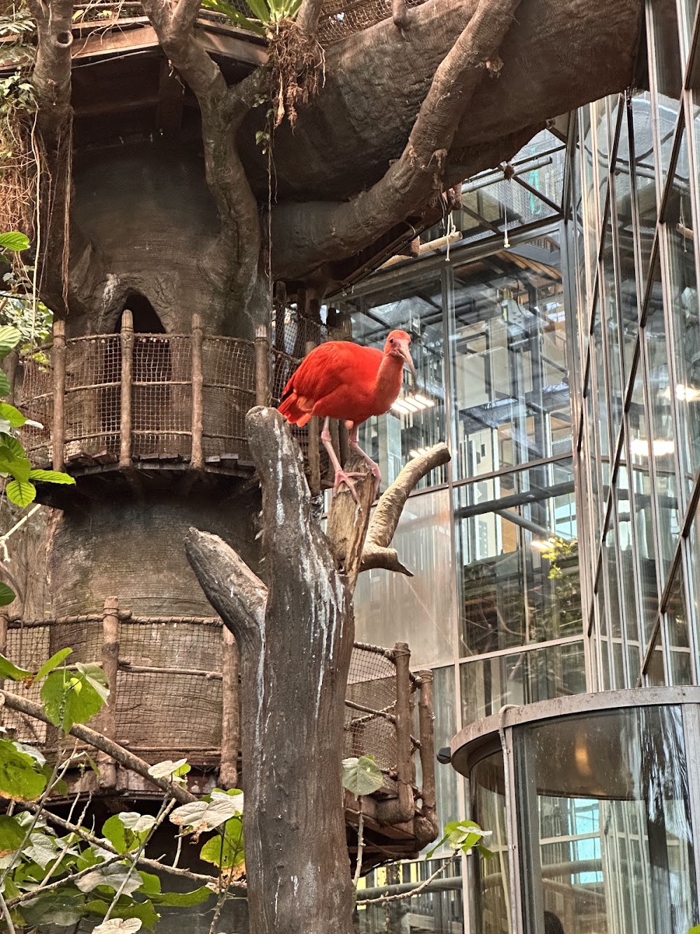 Universeum science center photo 2