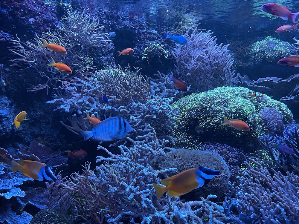 Universeum science center photo 3