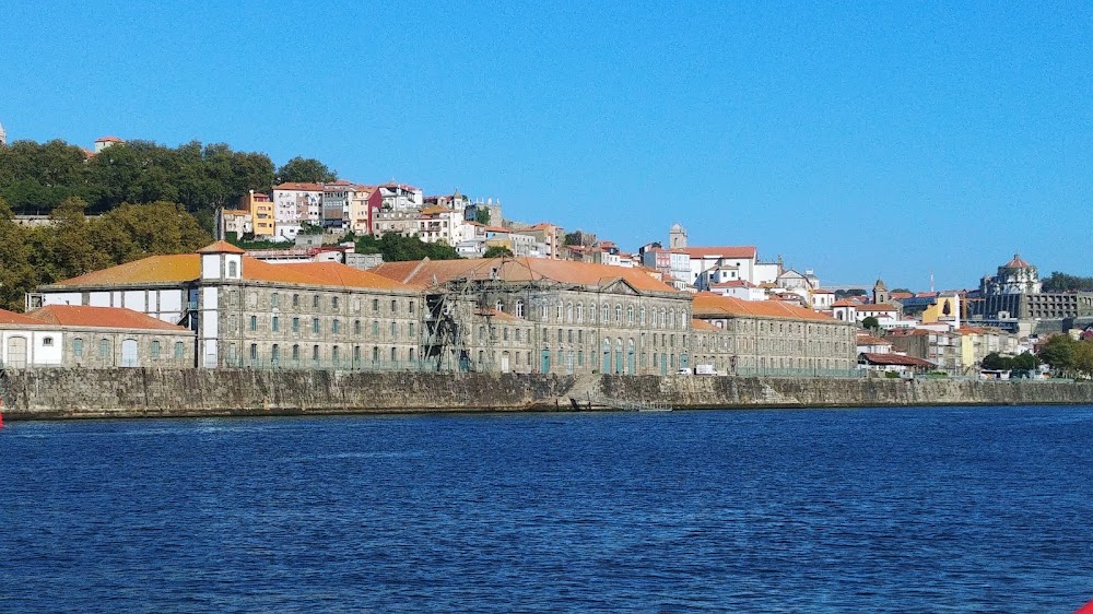 Porto Wine Museum photo 3