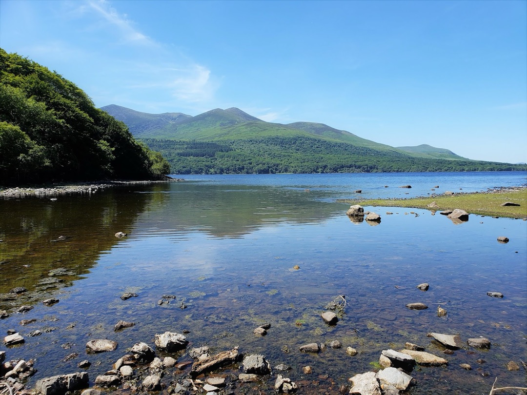 Innisfallen Island photo 2