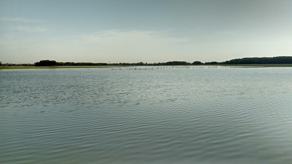Thol Bird Sanctuary photo 2