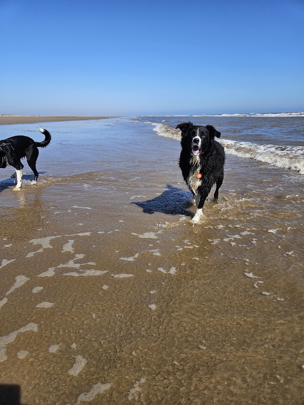 Golden Sands Beach photo 3