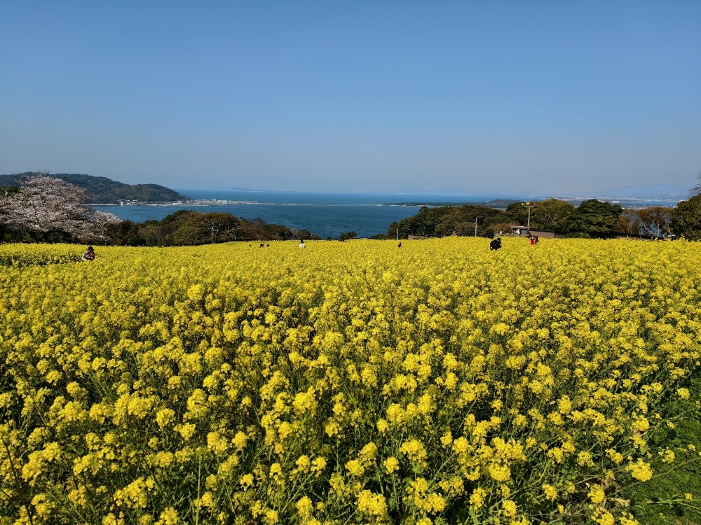 Nokonoshima Island Park