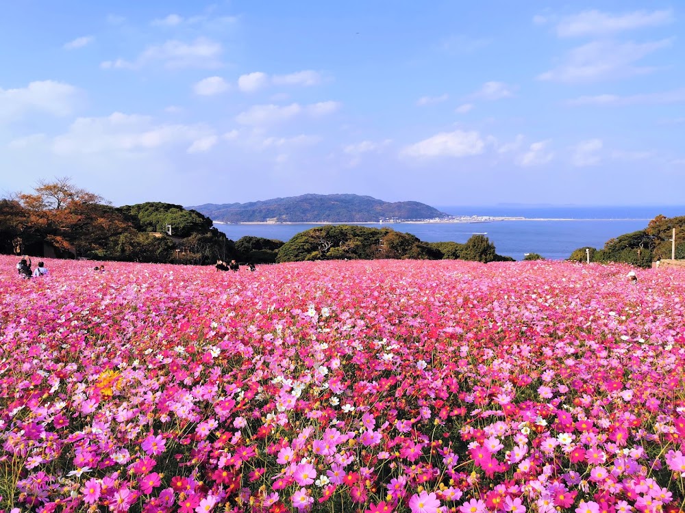 Nokonoshima Island Park photo 2
