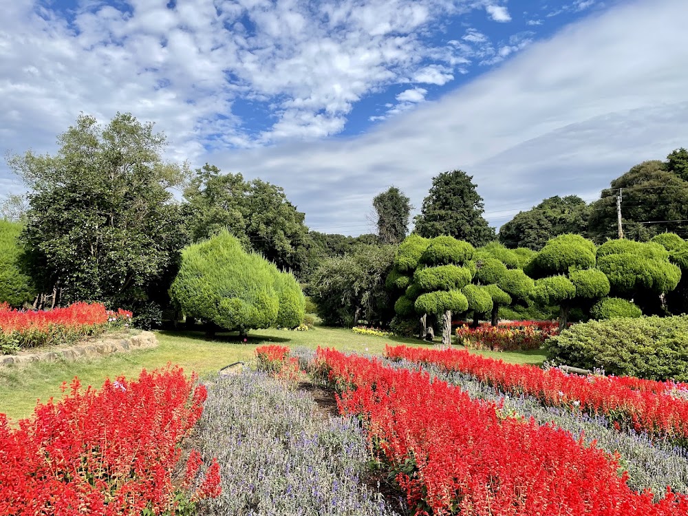 Nokonoshima Island Park photo 3