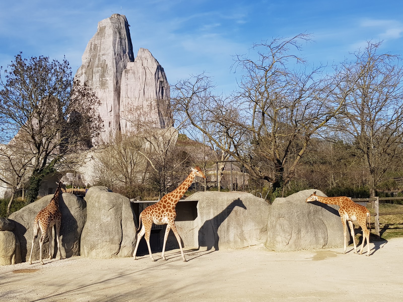 Parc Zoologique de Paris photo 2