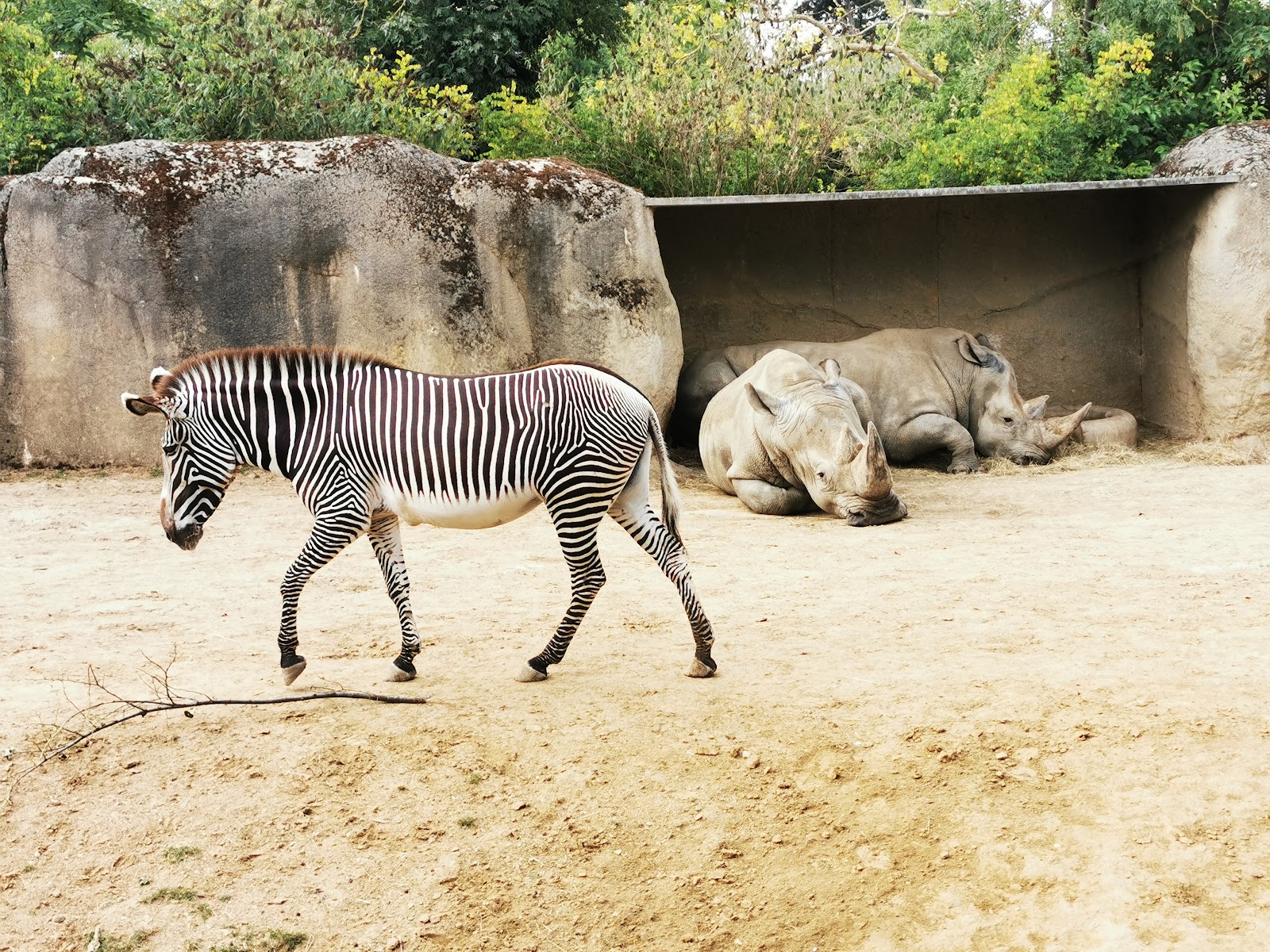 Parc Zoologique de Paris photo 3