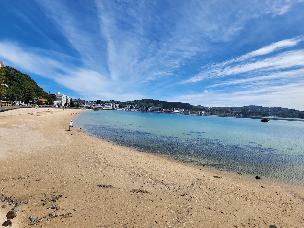Oriental Bay Beach