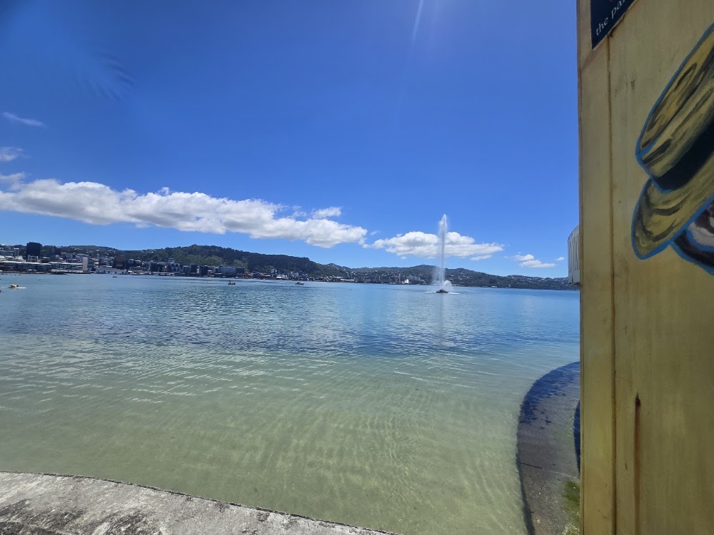 Oriental Bay Beach photo 2
