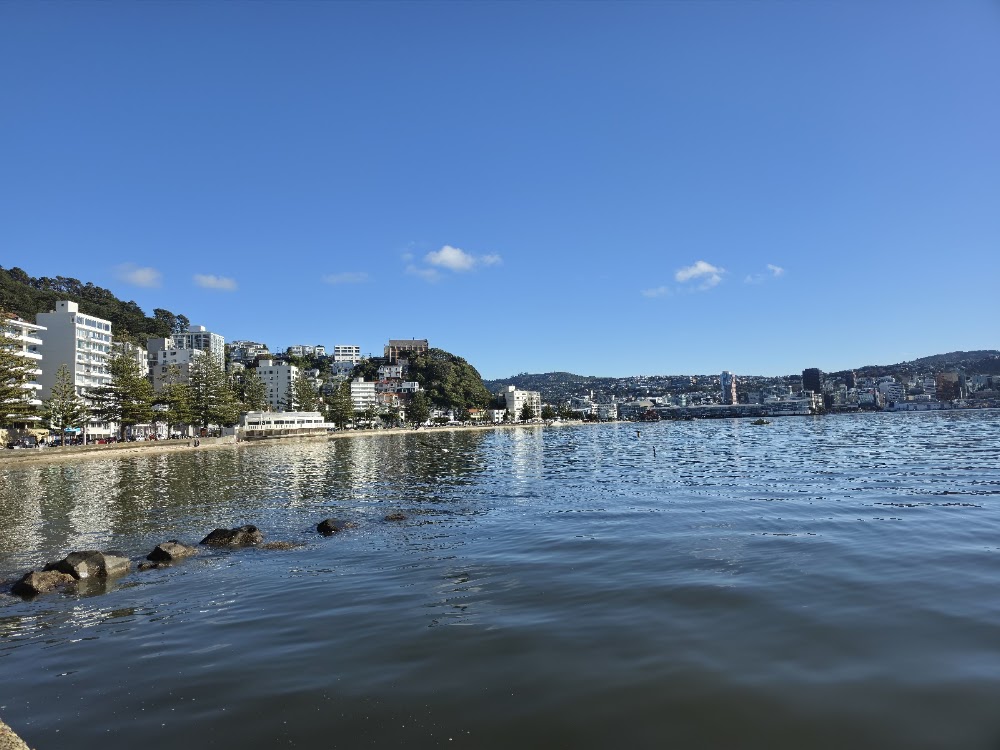 Oriental Bay Beach photo 3