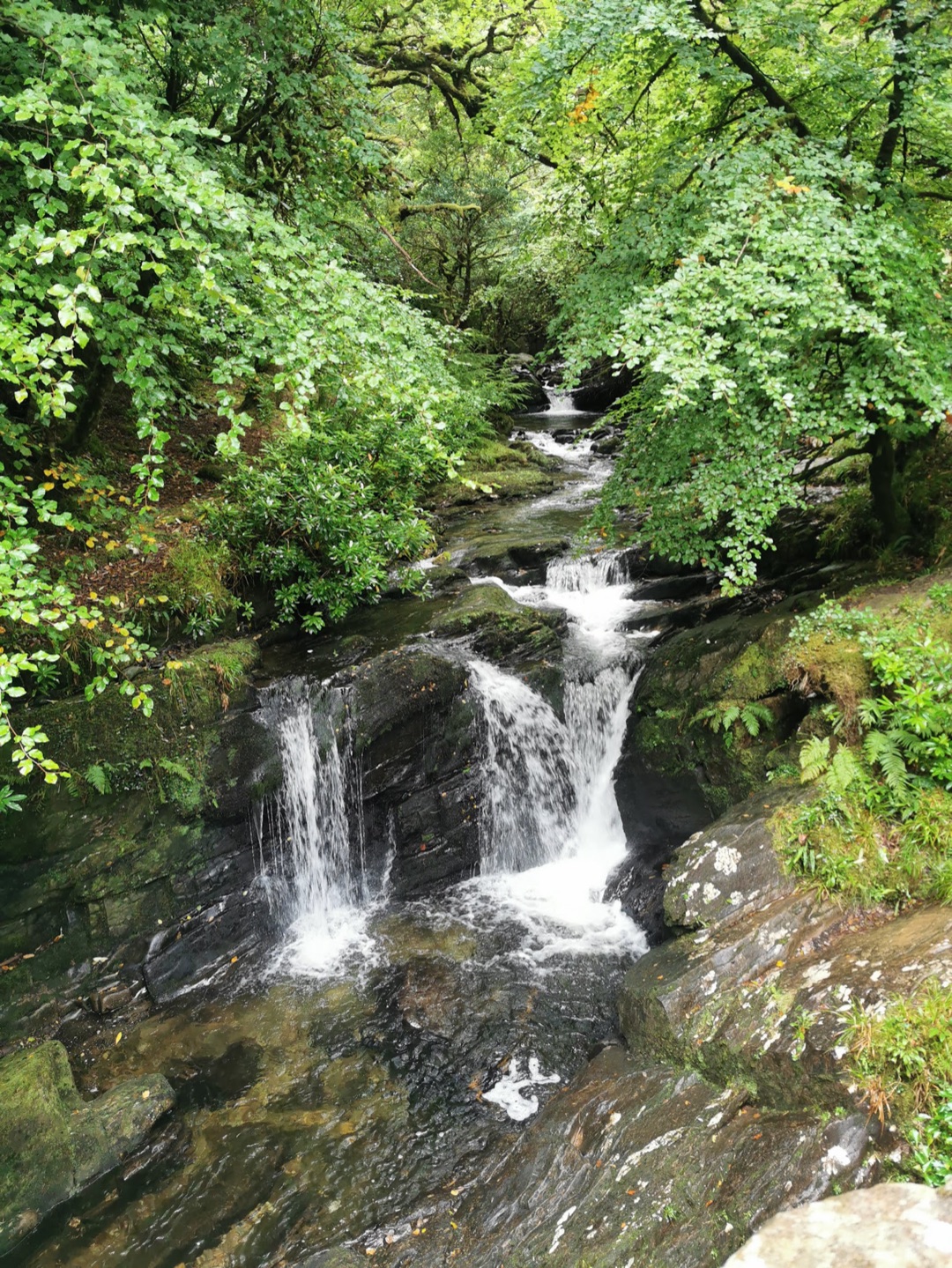 Torc Waterfall photo 3