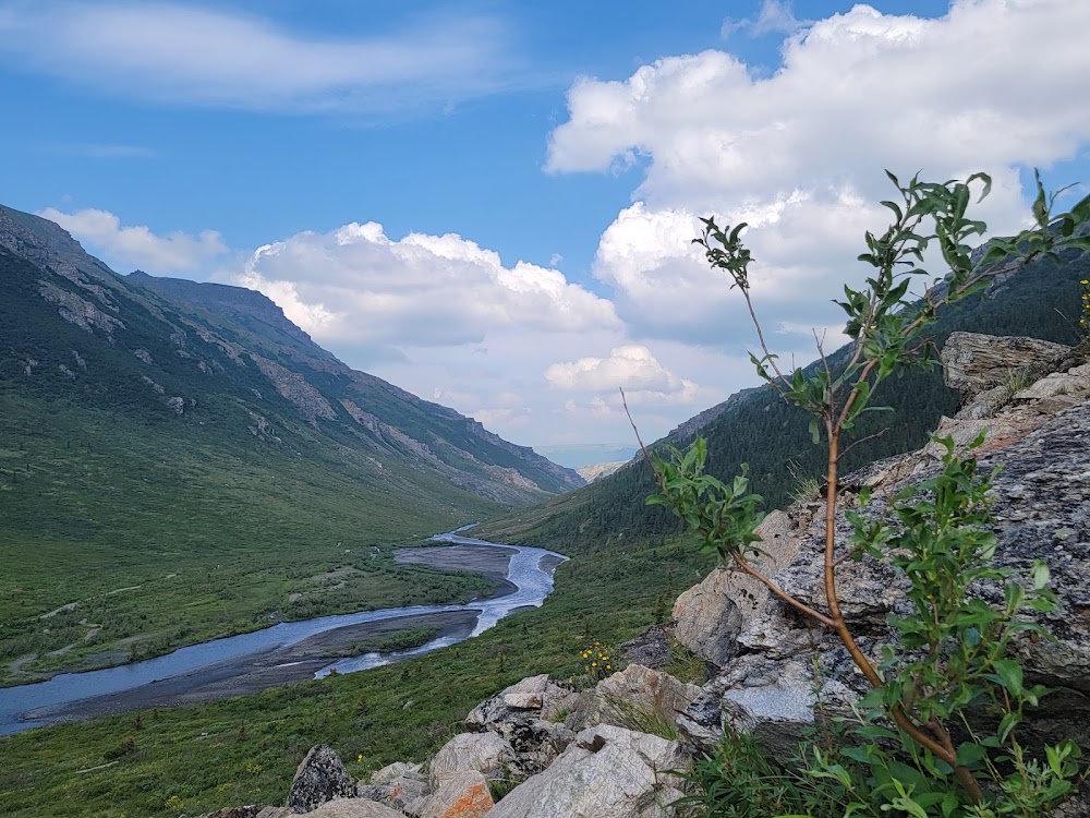 Kesugi Ridge Trail