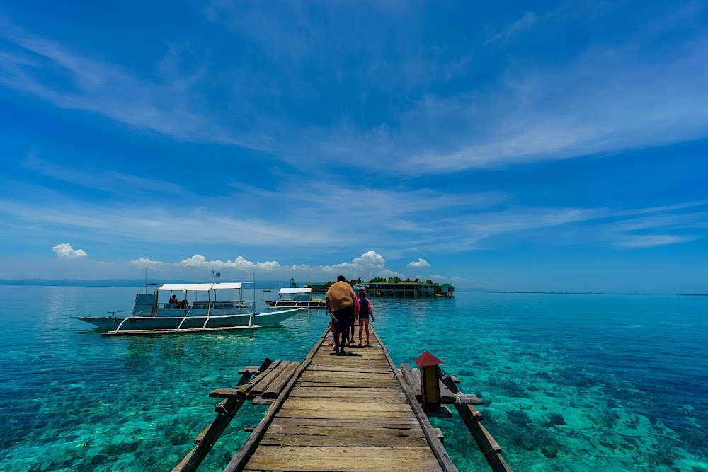 Nalusuan Island photo 2