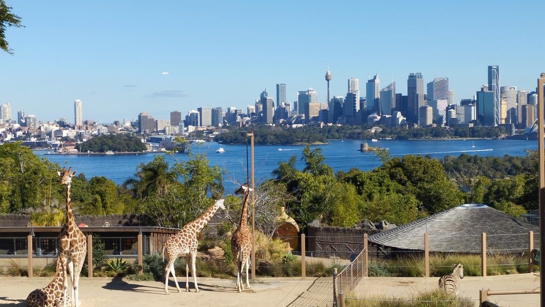 Taronga Zoo photo 2