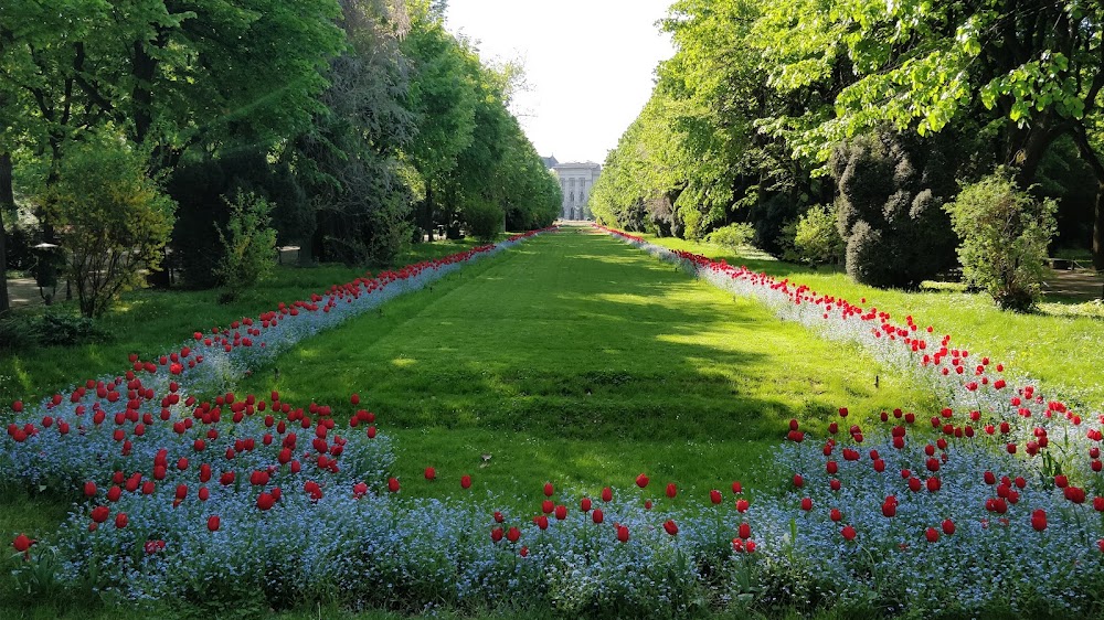 Cismigiu Gardens photo 2