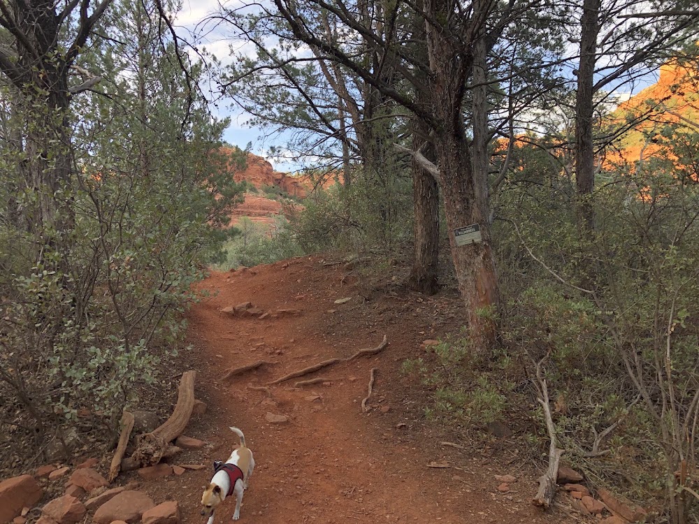 Soldiers Pass Trail photo 3