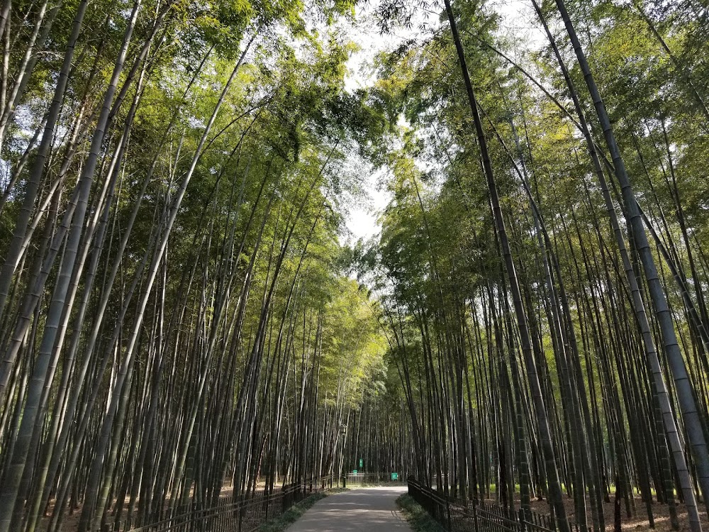 Hangzhou Botanical Garden photo 2