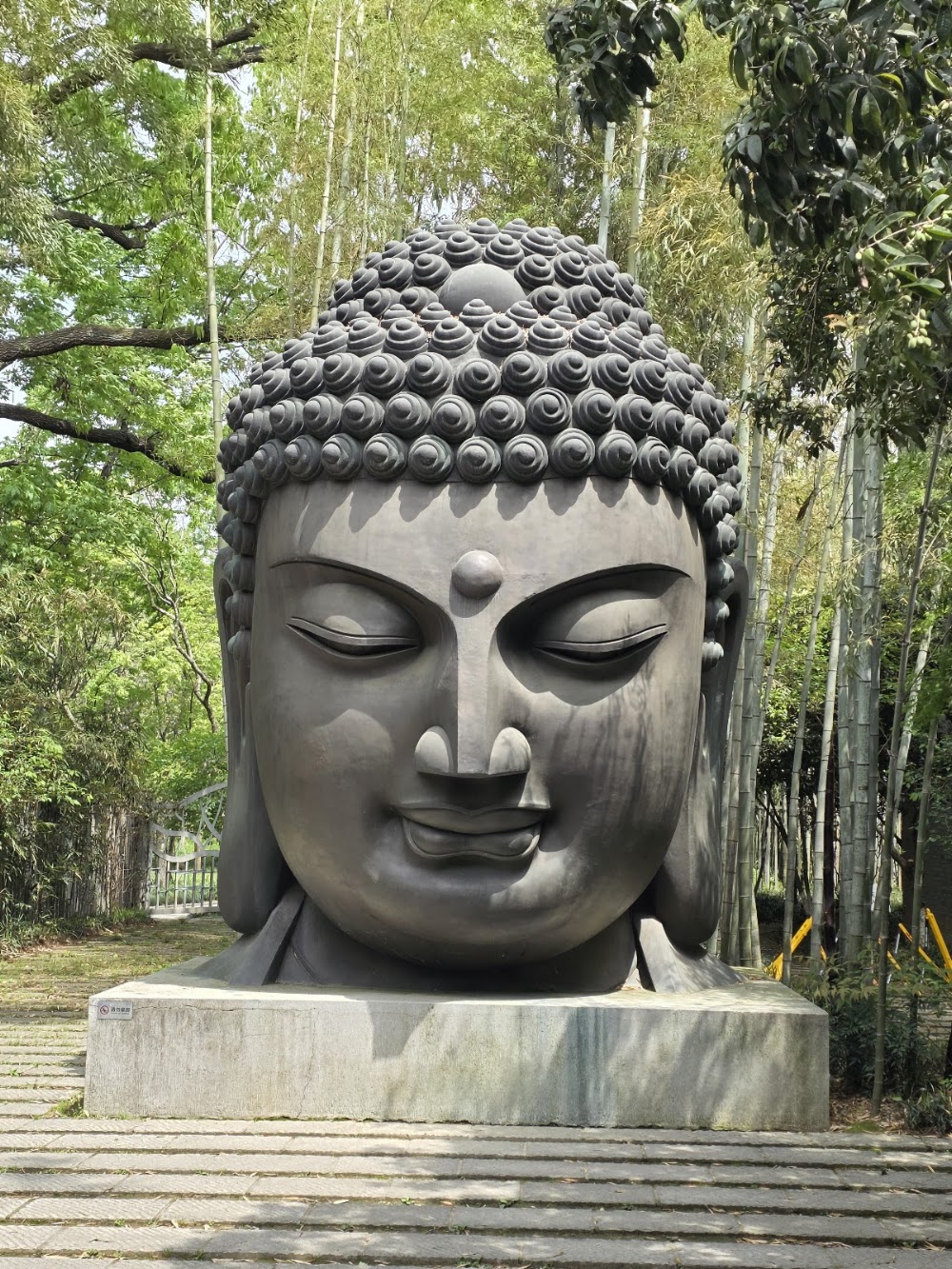 Hangzhou Botanical Garden photo 3