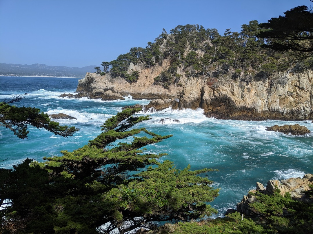Point Lobos State Natural Reserve photo 3